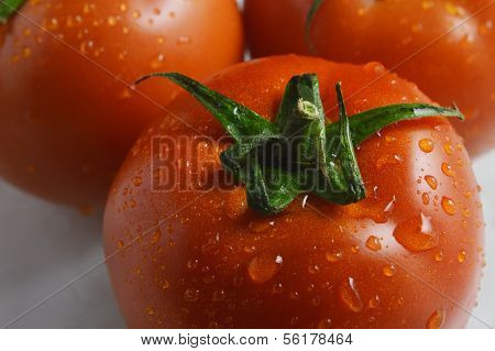 Tomato