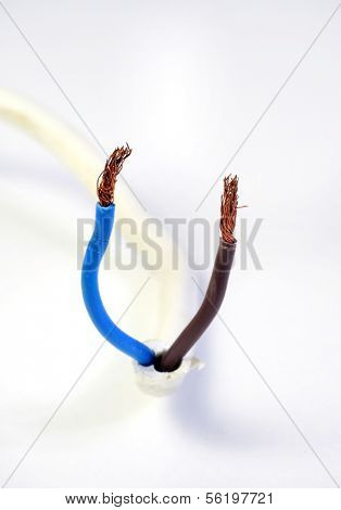 Two uninsulated wires. All on white background.