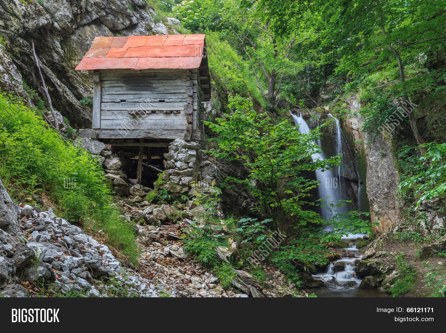 Image Preview