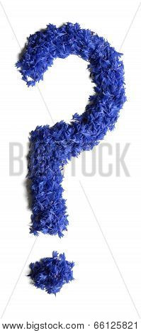 Question Tag Made Of Flowers (cornflowers) Isolated On White Background