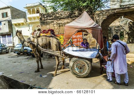 Camel Taxi In Pushkar