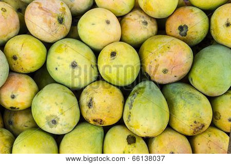 a bunch of ripe mangoes (ALPHONSO variety) arrangement forming a pattern
