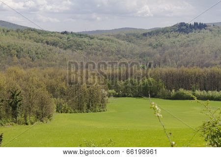 Hilly Landscape