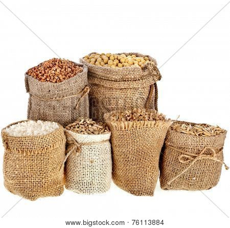 Collection set of seed meal and grains in bags isolated on a white background