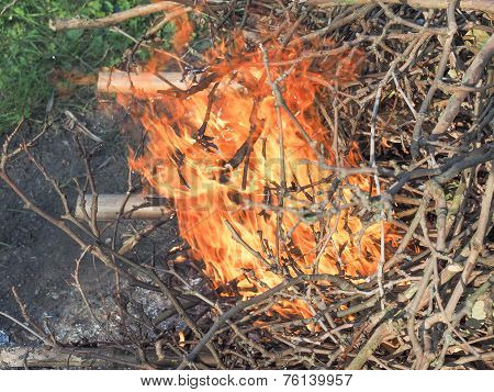 Burning Fire