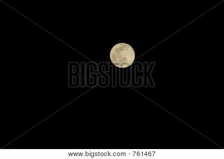 Golden Harvest Moon