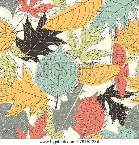 Leaves On A White Background