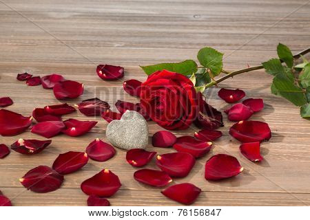 roses as a gift and surprise to a feast. photo icon for birthday, mother's day, love, valentine's day