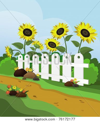Landscape with sunflowers