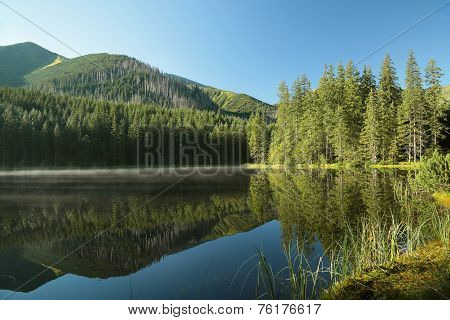 Pond in Tatra National Park