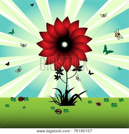 Red flower