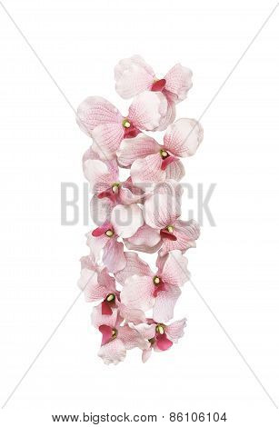 Artifical Pink Orchid Flowers Isolated