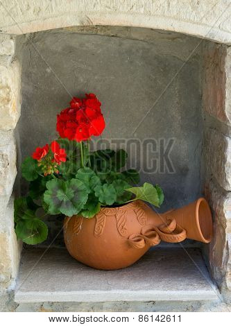 Geranium flower.