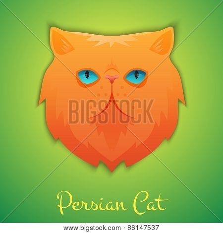 Persian cat