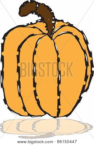 Pumpkin  illustration  fruit