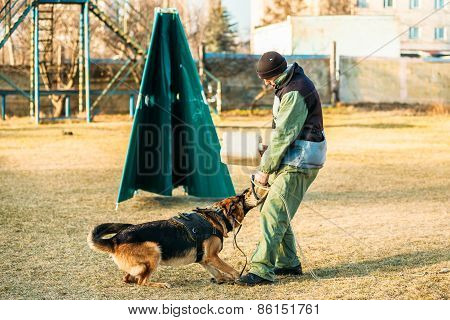 German Shepherd Dog training