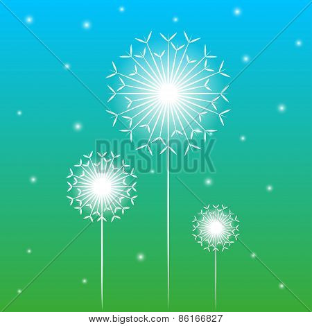 Vector background with dandelion