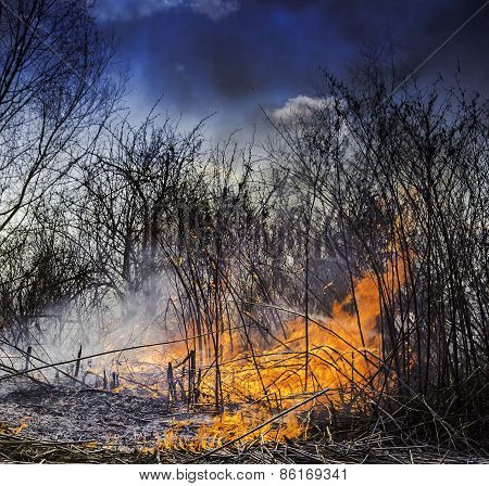 Wildfire Burning In The Field