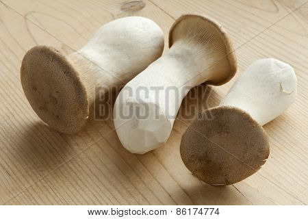 Fresh raw king oyster mushrooms