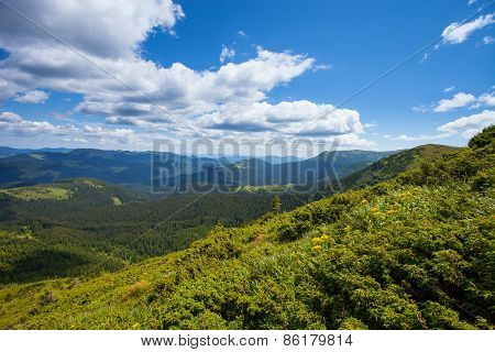 Mountain view from the top of Goverli, Carpathians