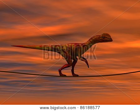 Concept or conceptual abstract business metaphor as wild heavy dinosaurus balancing on rope over sunset sky background