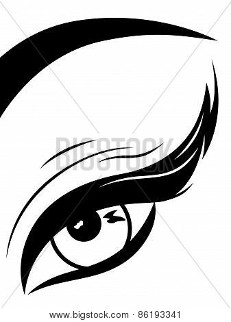 Eye With Fluffy Eyelid Close-up