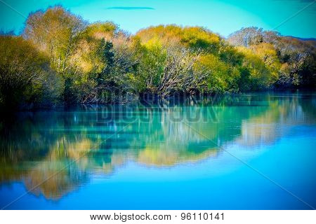 Trees In Autumn Color Reflecting Into The River