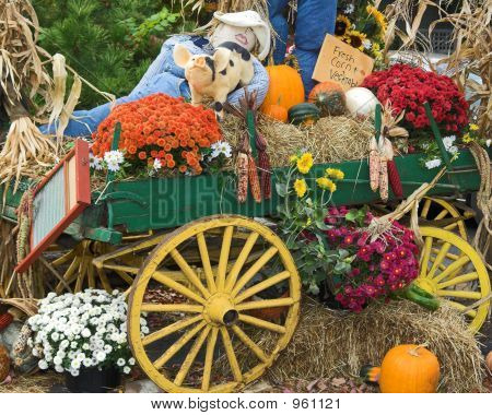 Carro vendemmia