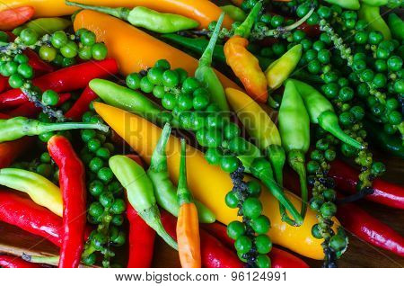Colorful mix of the freshest and hottest chili peppers