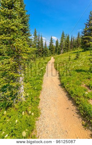 Beautiful Mountain Trail. Blackwall Peak Trail at Manning Park in British Columbia. Canada.