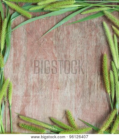 green spikelets on the background of wood