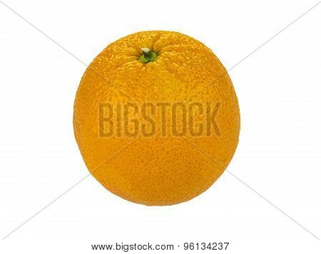 Valencia Orange Over White Background