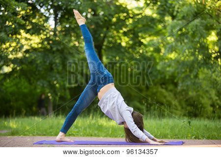 Eka Pada Adho Mukha Svanasana In Park Alley