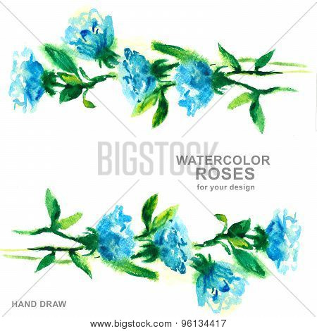 blue roses