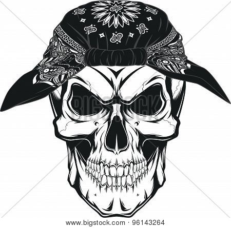 Human skull