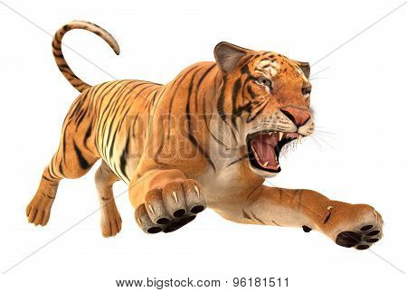 Tiger Running