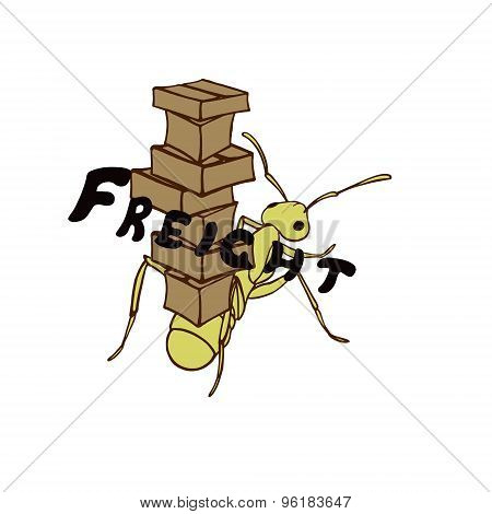 Freight