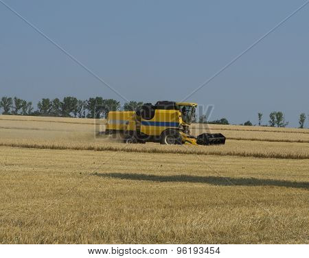 The Car Collects Grain In The Field