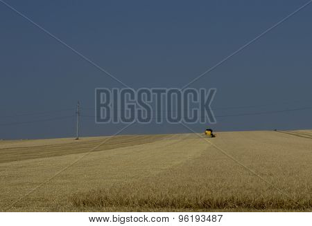 On The Horizon In The Field Wheat Harvesting