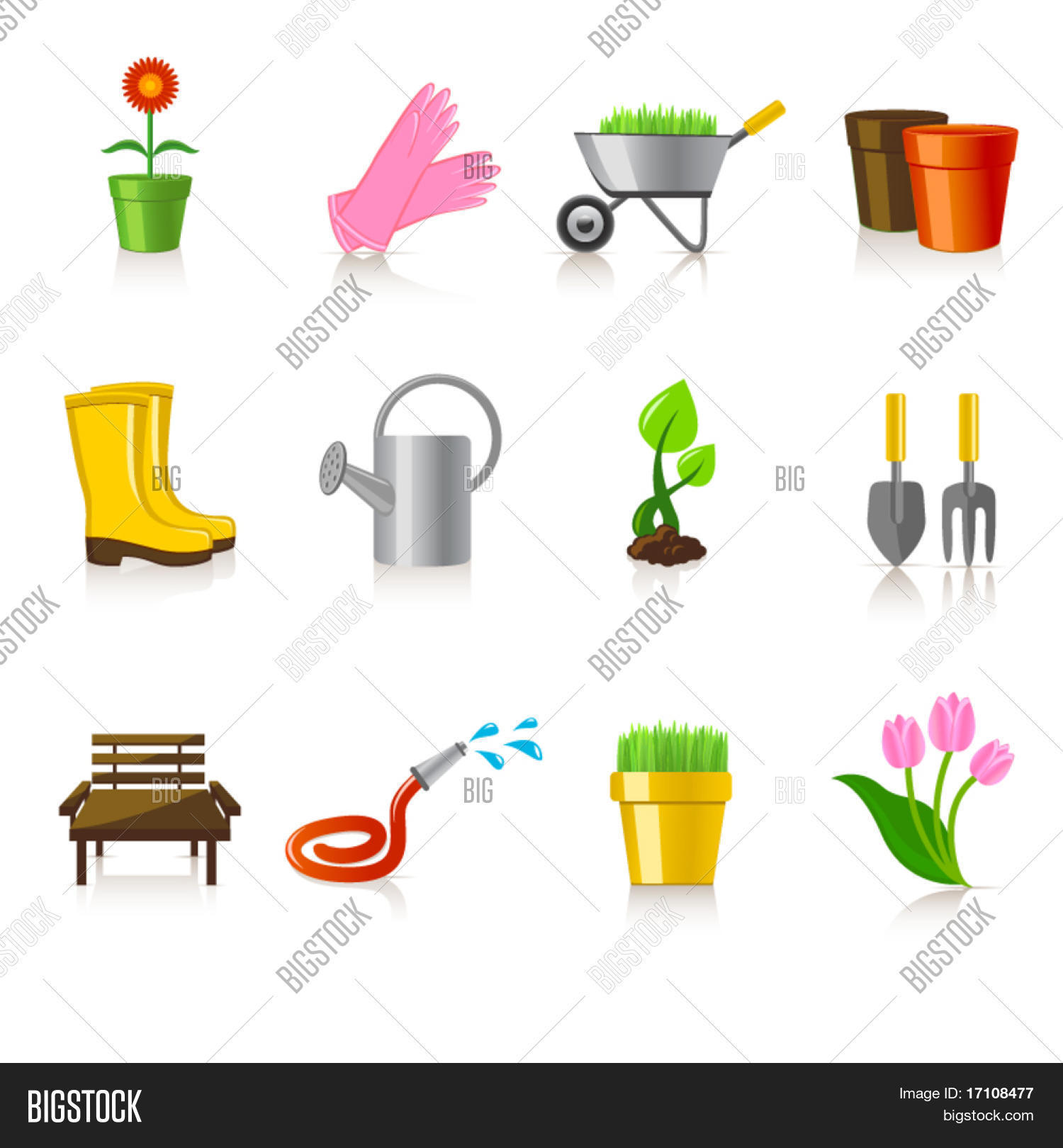 Image Preview