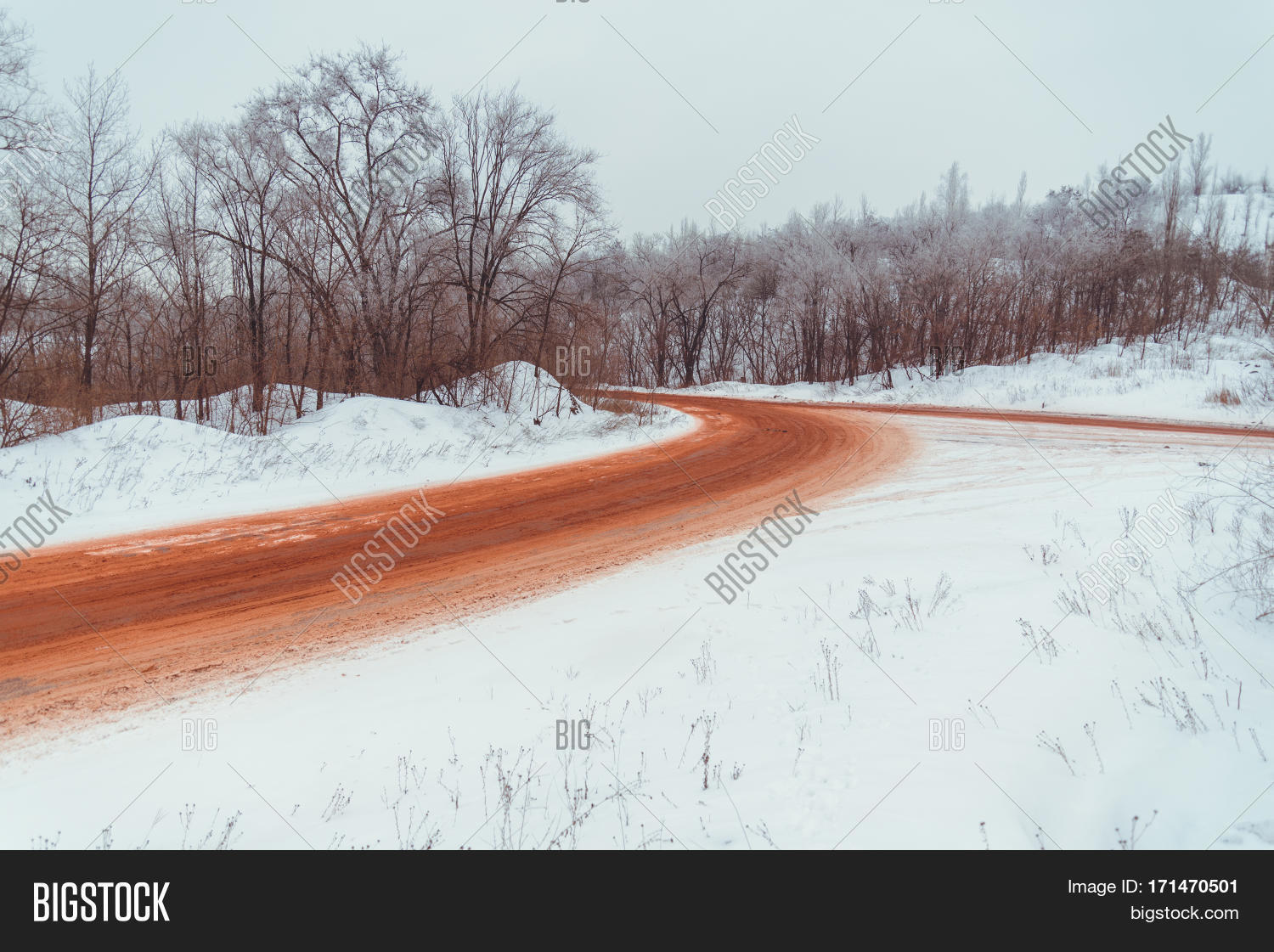 Image Preview