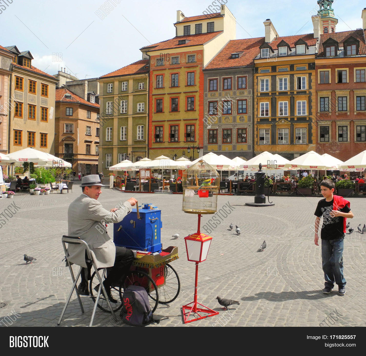 Image Preview