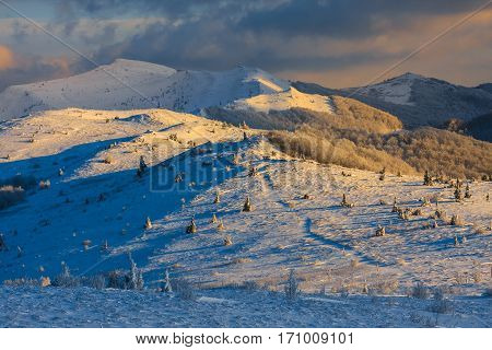 Beautiful Winter Landscape In The Mountains, Bieszczady, Poland