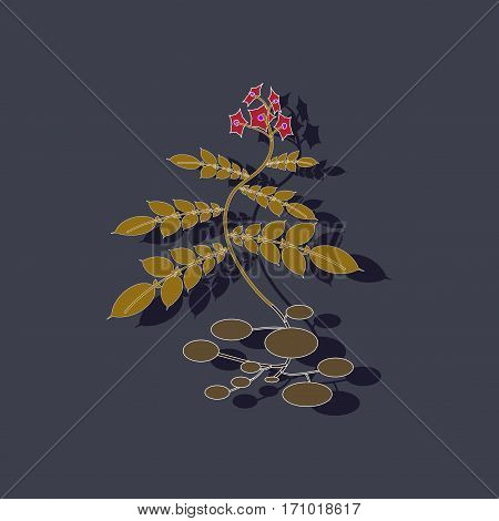 paper sticker on stylish background of plant Solanum