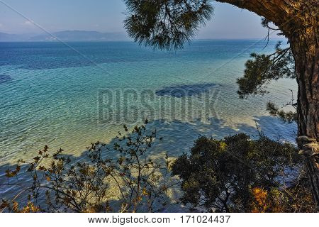 beach with blue waters in Thassos island, East Macedonia and Thrace, Greece