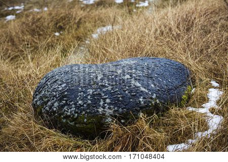 Rare Rock Formations Of (trovantii) Of Costesti, Valcea, Romania
