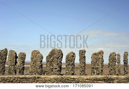 Wooden breakers on a beach landscape at Heacham on the Norfolk coast.