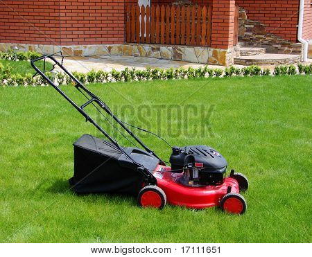 Rasenmäher im Gras