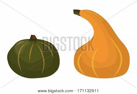 Fresh orange pumpkin isolated on white background. Decorative fresh single seasonal ripe food. Thanksgiving stem healthy raw vegetarian vegetable.