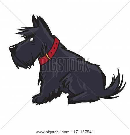 scottish terrier. pet. dog cartoon character dog sitting